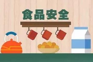 國務(wù)院食品安全辦有關(guān)負責(zé)人就2019年食品安全重點工作安排答記者問